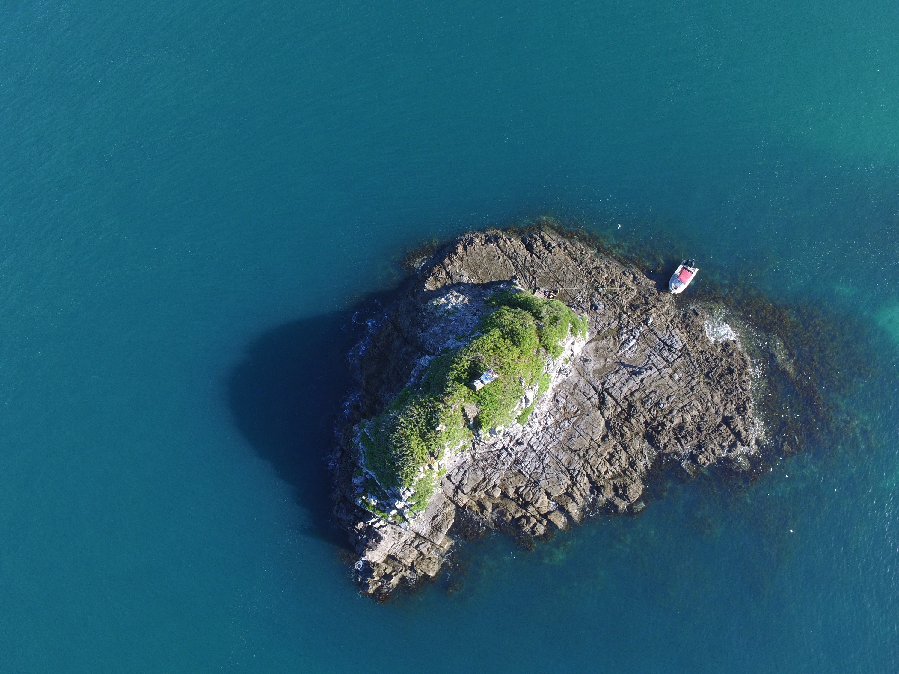 DJI_0075 – Frenchman, Island, Whangarei, Harbour, Aerial, quad, quadcopter, crispin, nz, new, zealand, new zealand