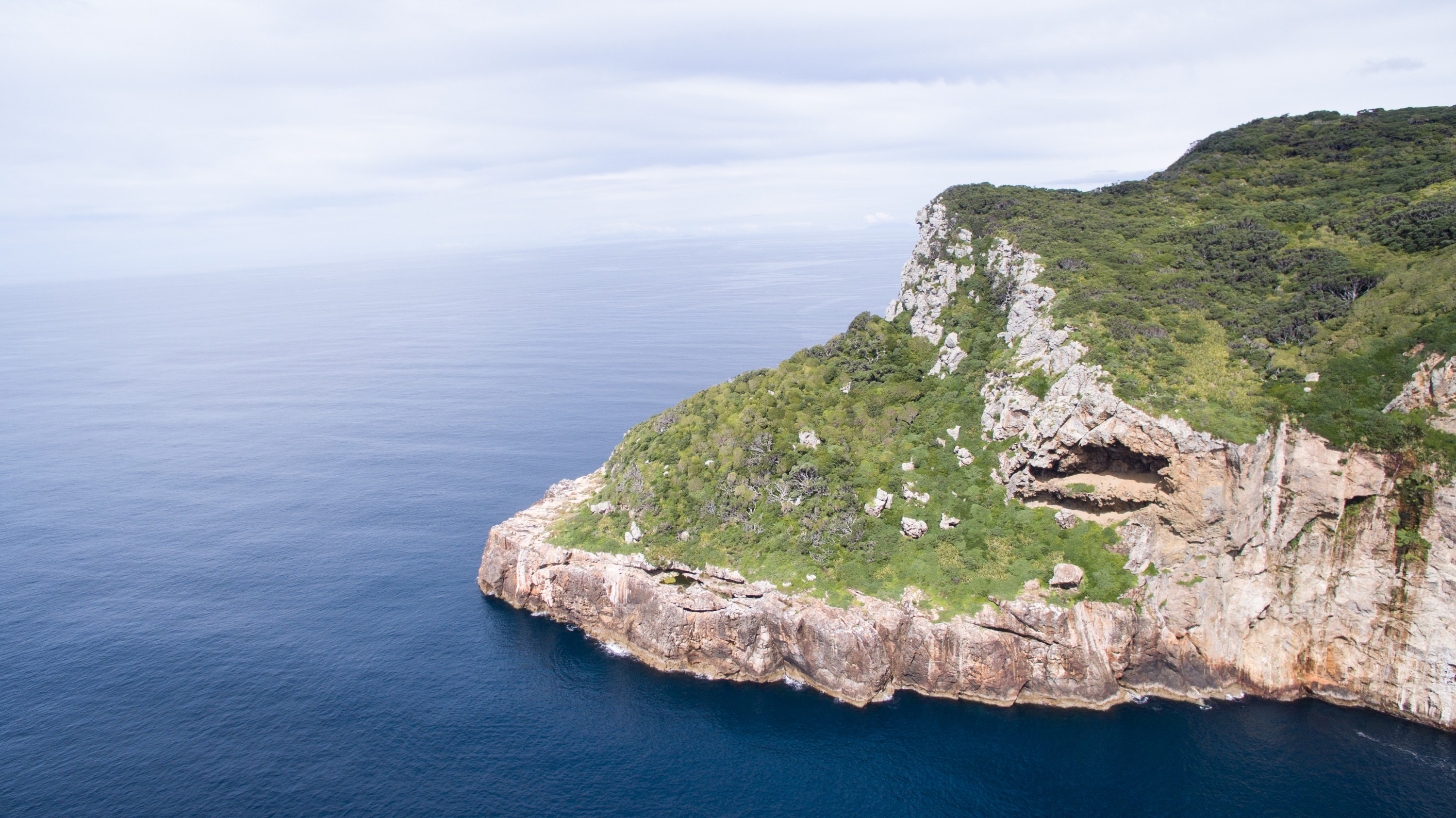 DJI_0142