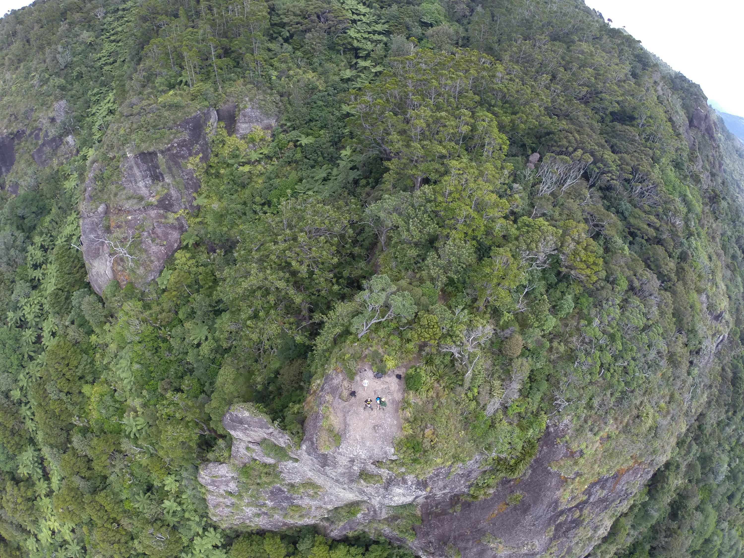 G0012790 – NZ, crispin, drone, in the sky, manaia, mount, mt, new, reserve, whangarei, zealand, JAN17