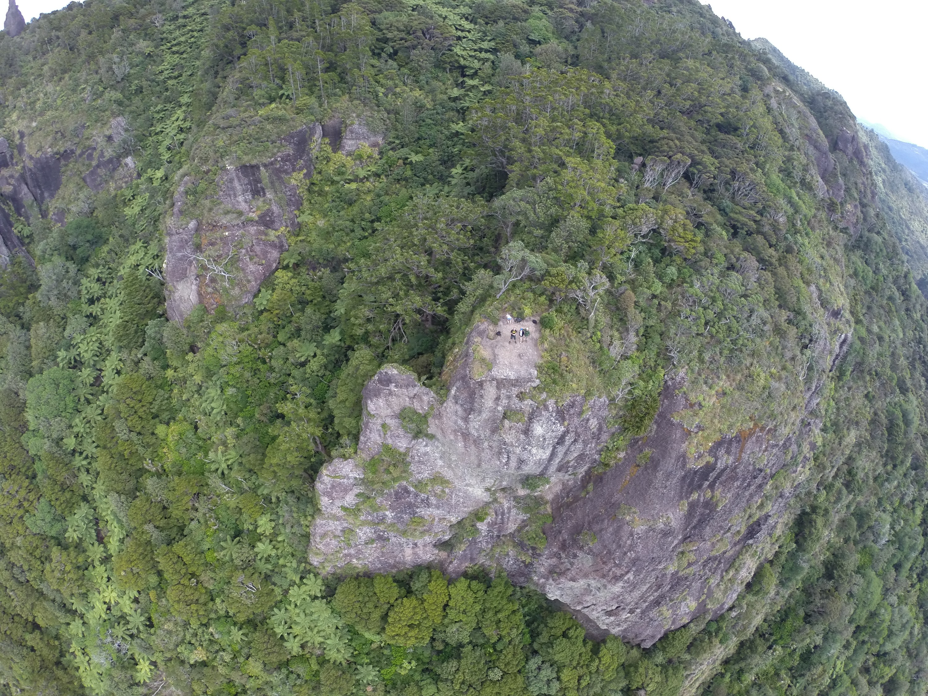 G0012794 – NZ, crispin, drone, in the sky, manaia, mount, mt, new, reserve, whangarei, zealand, JAN17