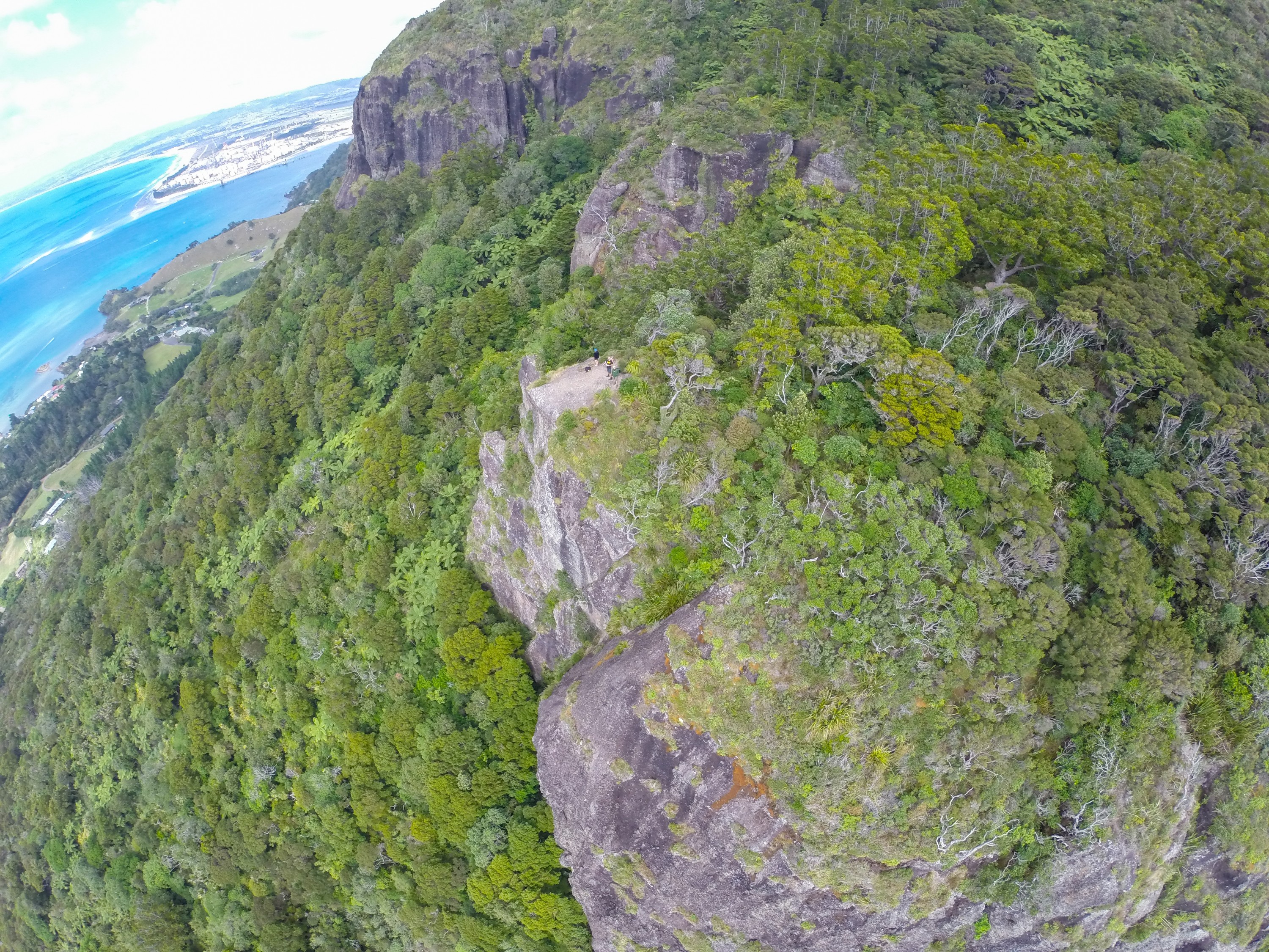 G0012815 – NZ, crispin, drone, in the sky, manaia, mount, mt, new, reserve, whangarei, zealand, JAN17