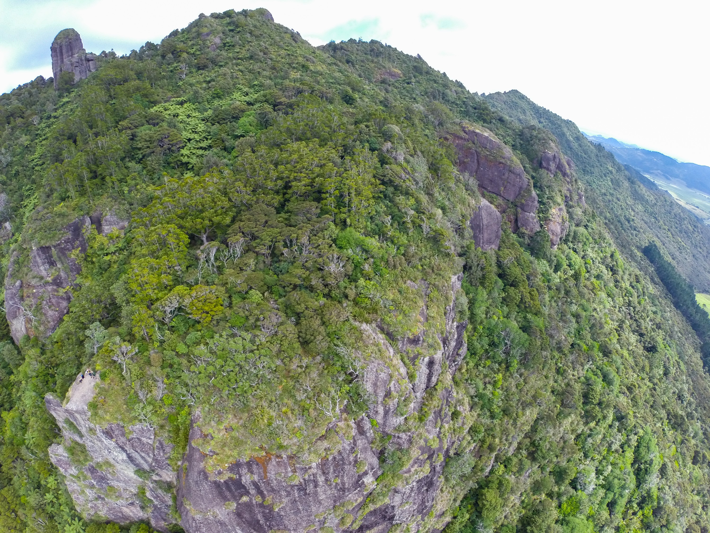 G0012837 – NZ, crispin, drone, in the sky, manaia, mount, mt, new, reserve, whangarei, zealand, JAN17