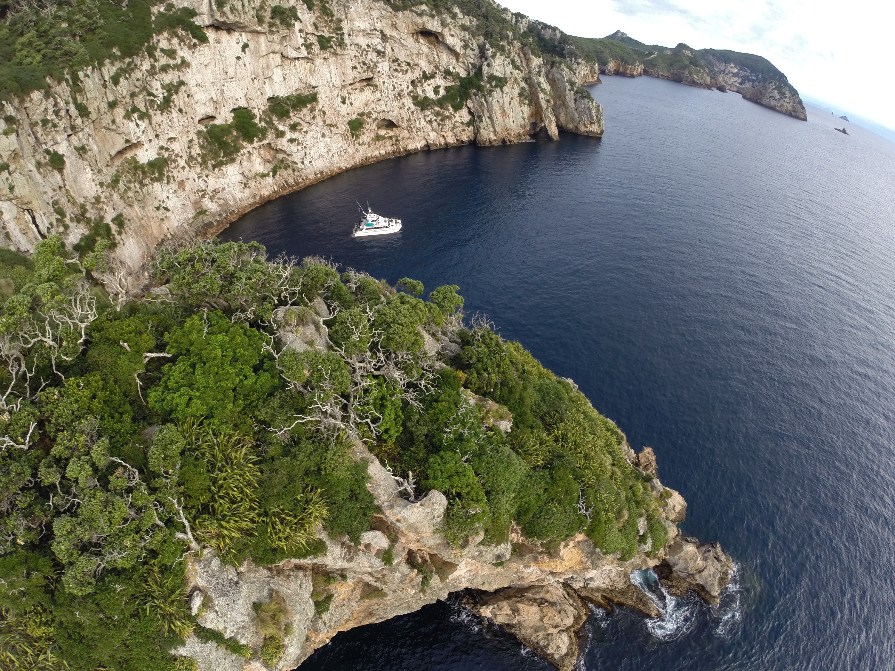 G0022928 – Aerial, quad, quadcopter, crispin, nz, new, zealand, new zealand, Poor, Knights, Marine, Reserve, Islands,