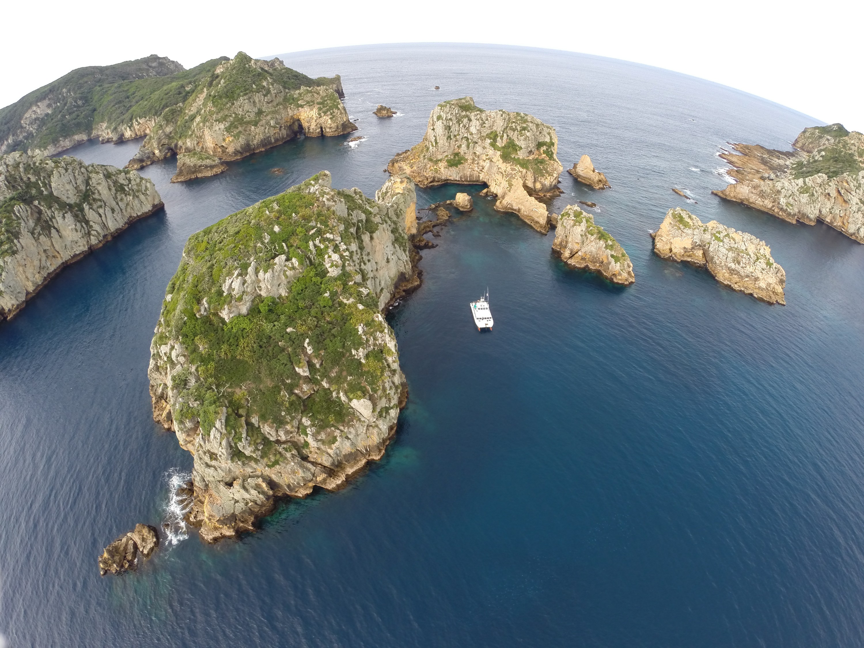 G0023015 – Aerial, quad, quadcopter, crispin, nz, new, zealand, new zealand, Poor, Knights, Marine, Reserve, Islands,