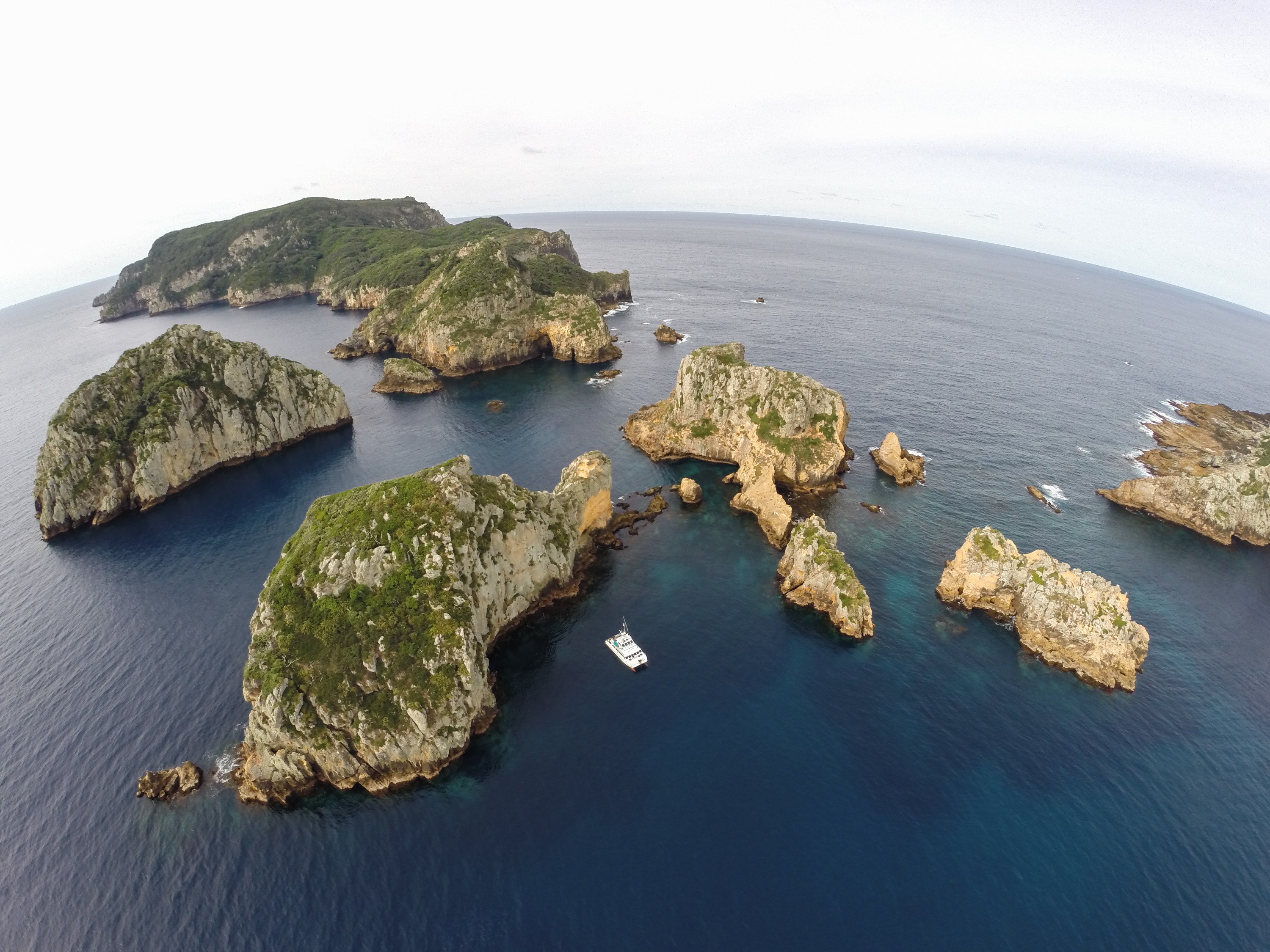 G0023042 – Aerial, quad, quadcopter, crispin, nz, new, zealand, new zealand, Poor, Knights, Marine, Reserve, Islands,