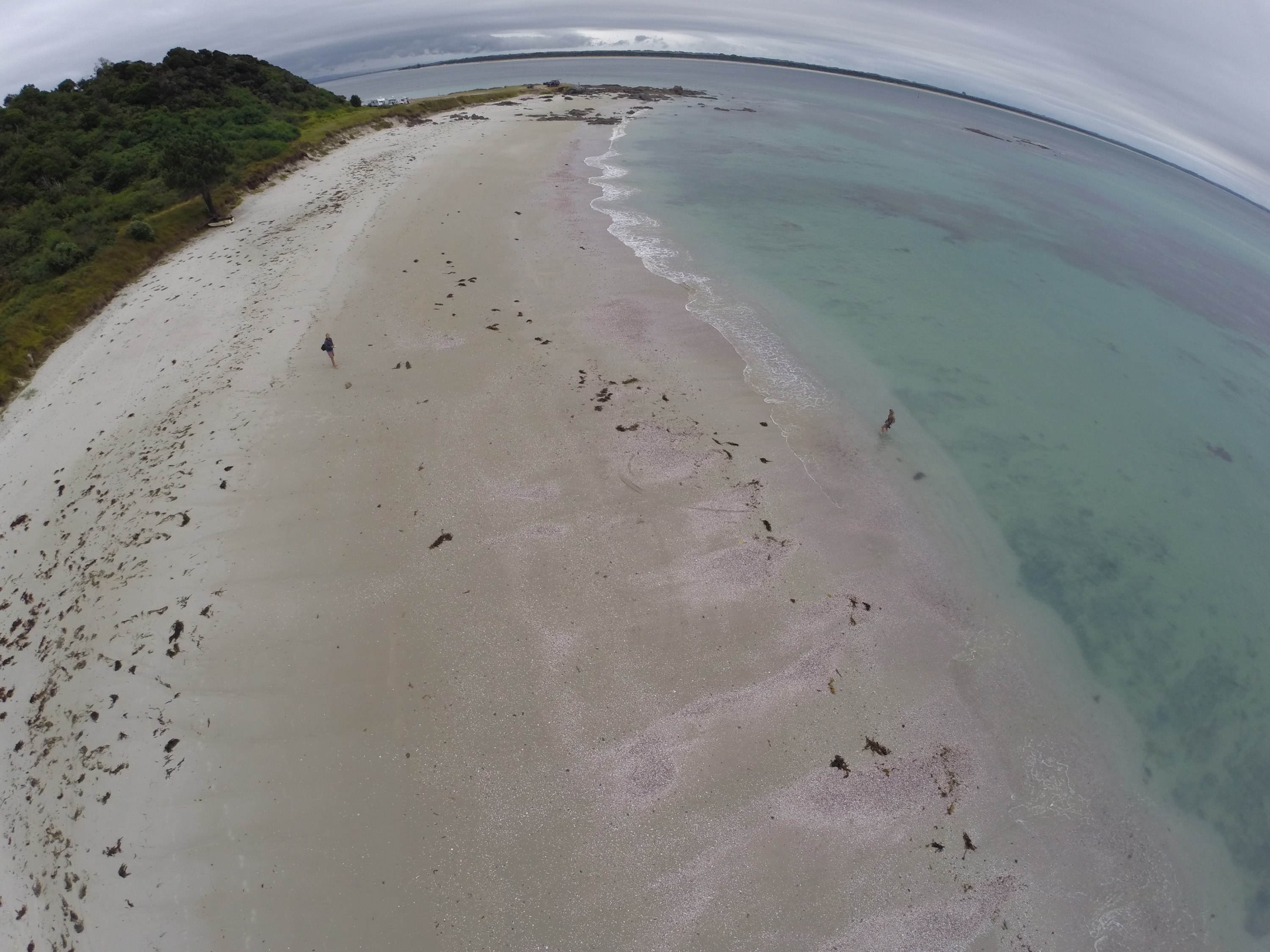G0023145 – Aerial, quad, quadcopter, crispin, nz, new, zealand, new zealand, Rangiputa, Rangaunu, Harbour, Northland, karikari, peninsula