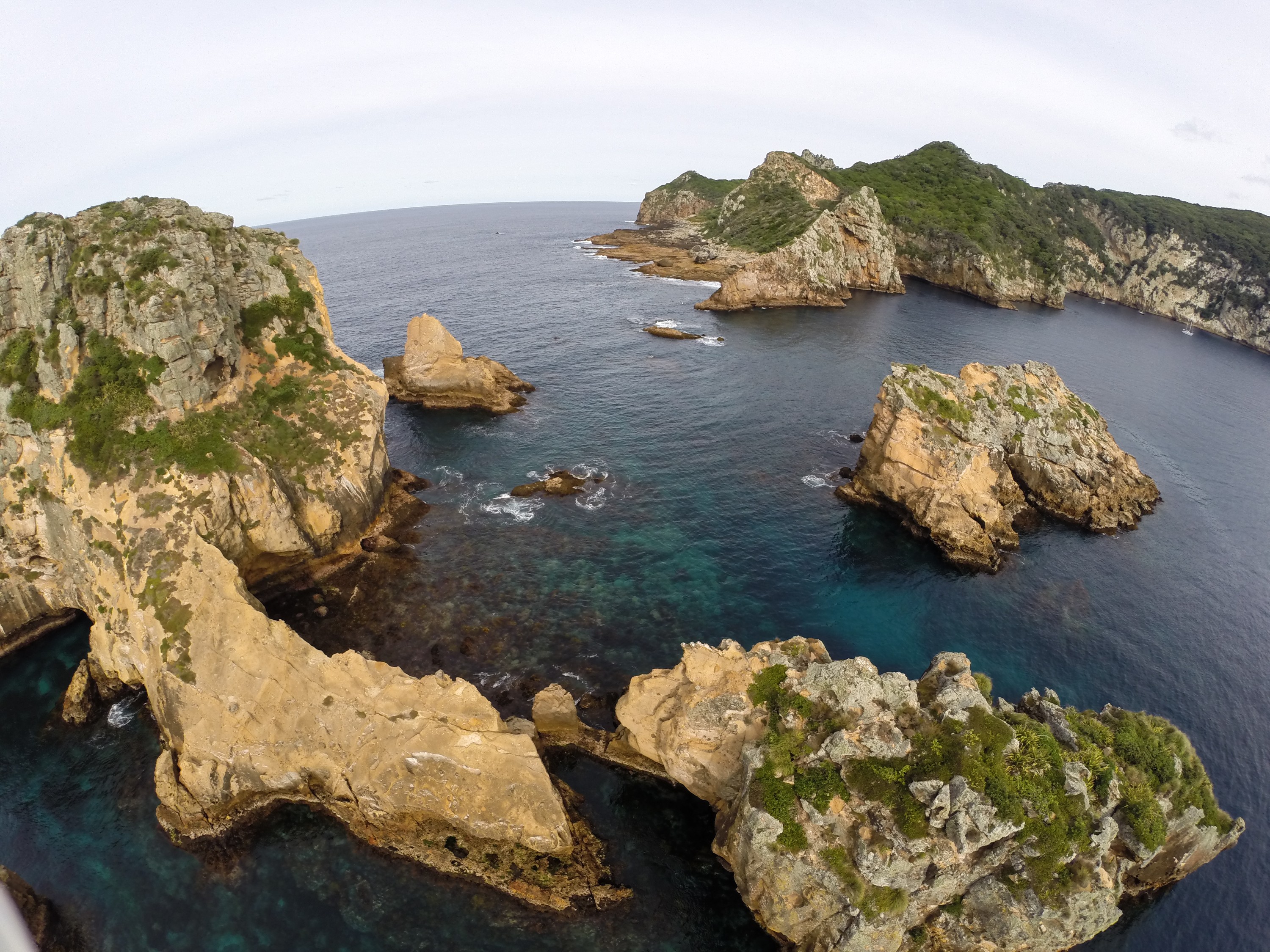 G0023148 – Aerial, quad, quadcopter, crispin, nz, new, zealand, new zealand, Poor, Knights, Marine, Reserve, Islands,