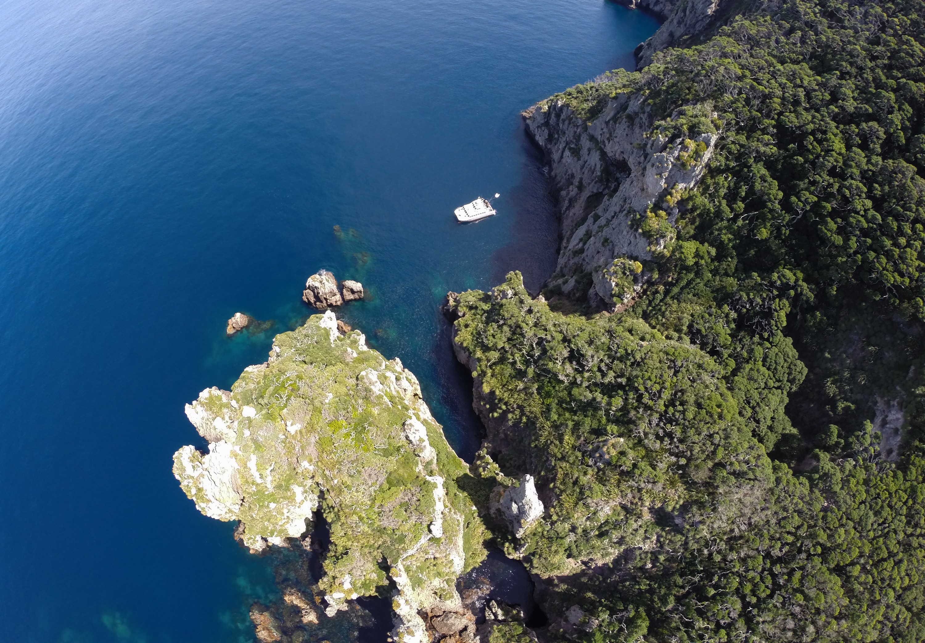 G0033171 – Aerial, quad, quadcopter, crispin, nz, new, zealand, new zealand, Poor, Knights, Marine, Reserve, Islands,