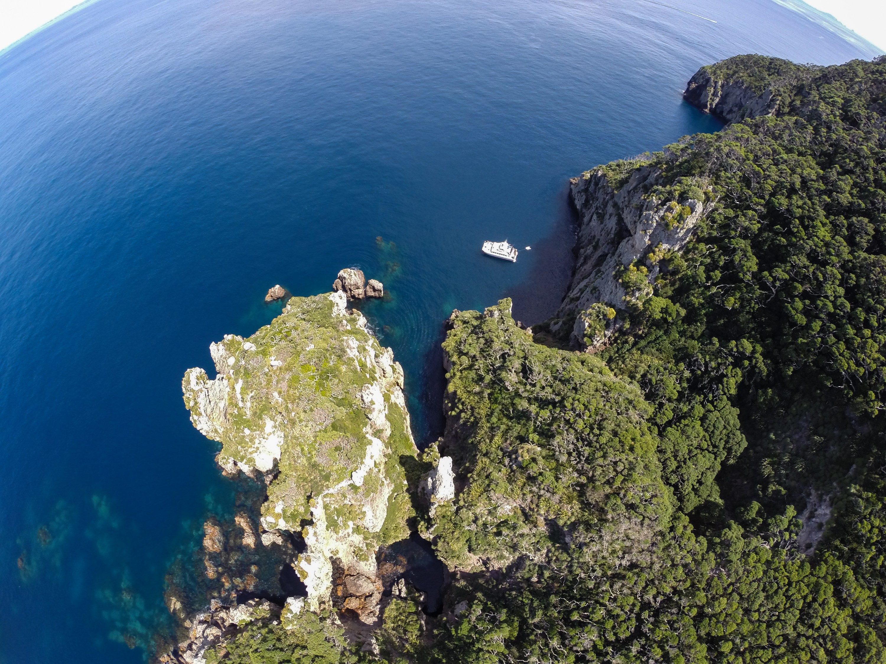 G0033194 – Aerial, quad, quadcopter, crispin, nz, new, zealand, new zealand, Poor, Knights, Marine, Reserve, Islands,