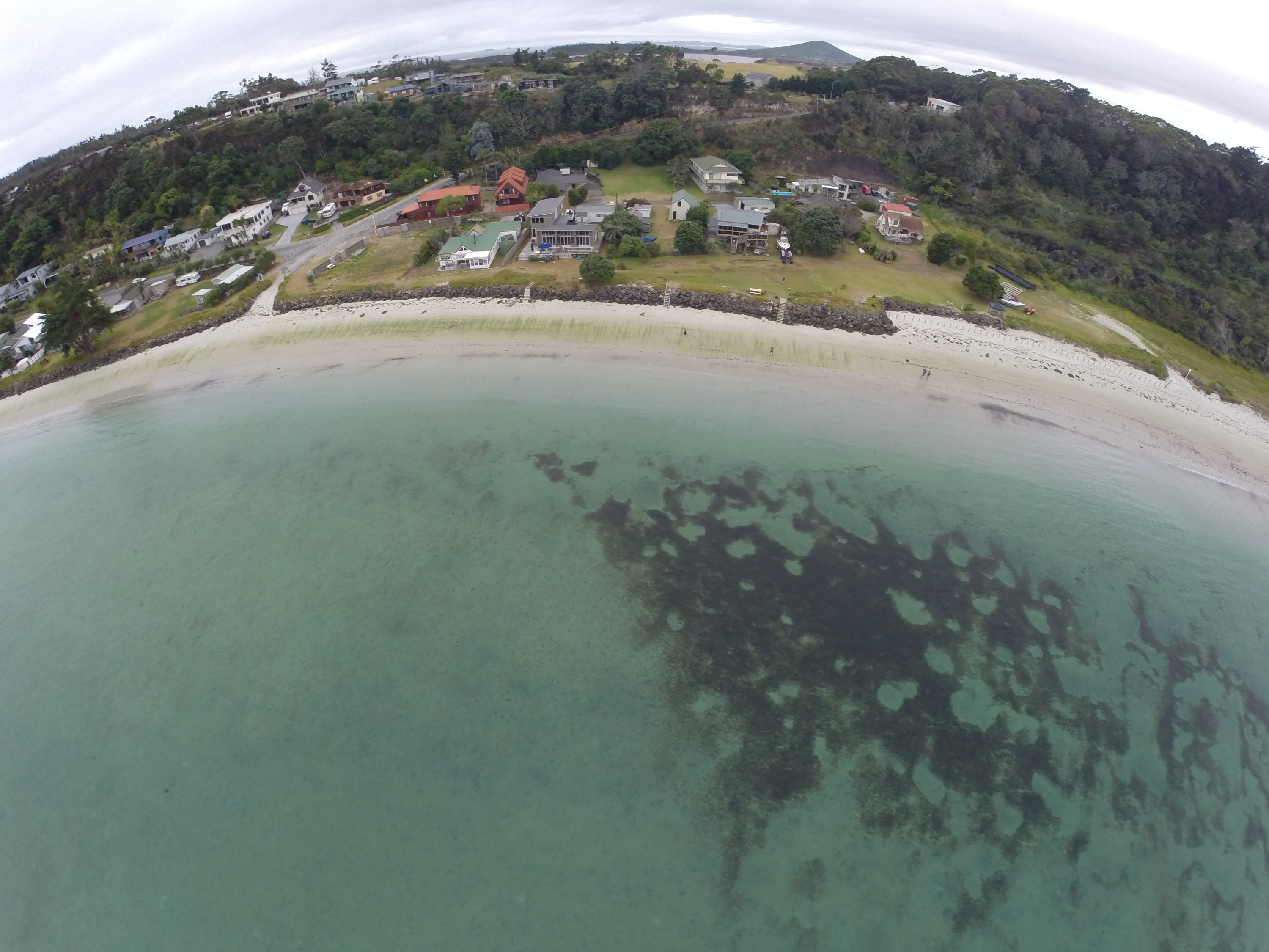 G0033675 – Aerial, quad, quadcopter, crispin, nz, new, zealand, new zealand, Rangiputa, Rangaunu, Harbour, Northland, karikari, peninsula