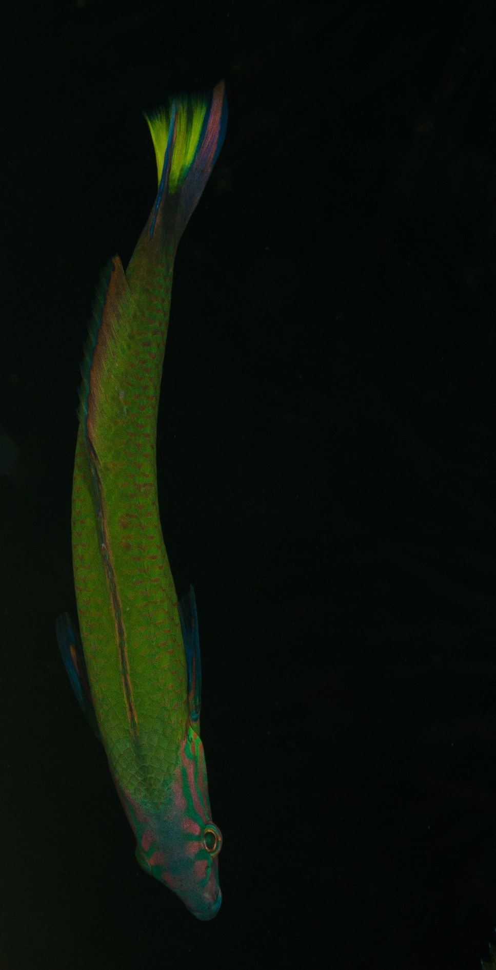 DSC_8076