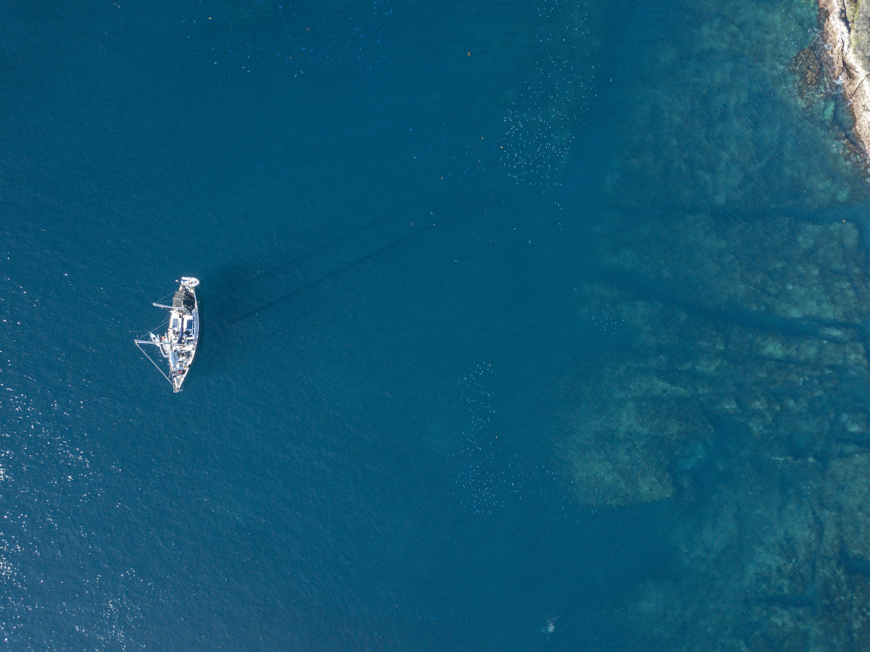 DJI_0009
