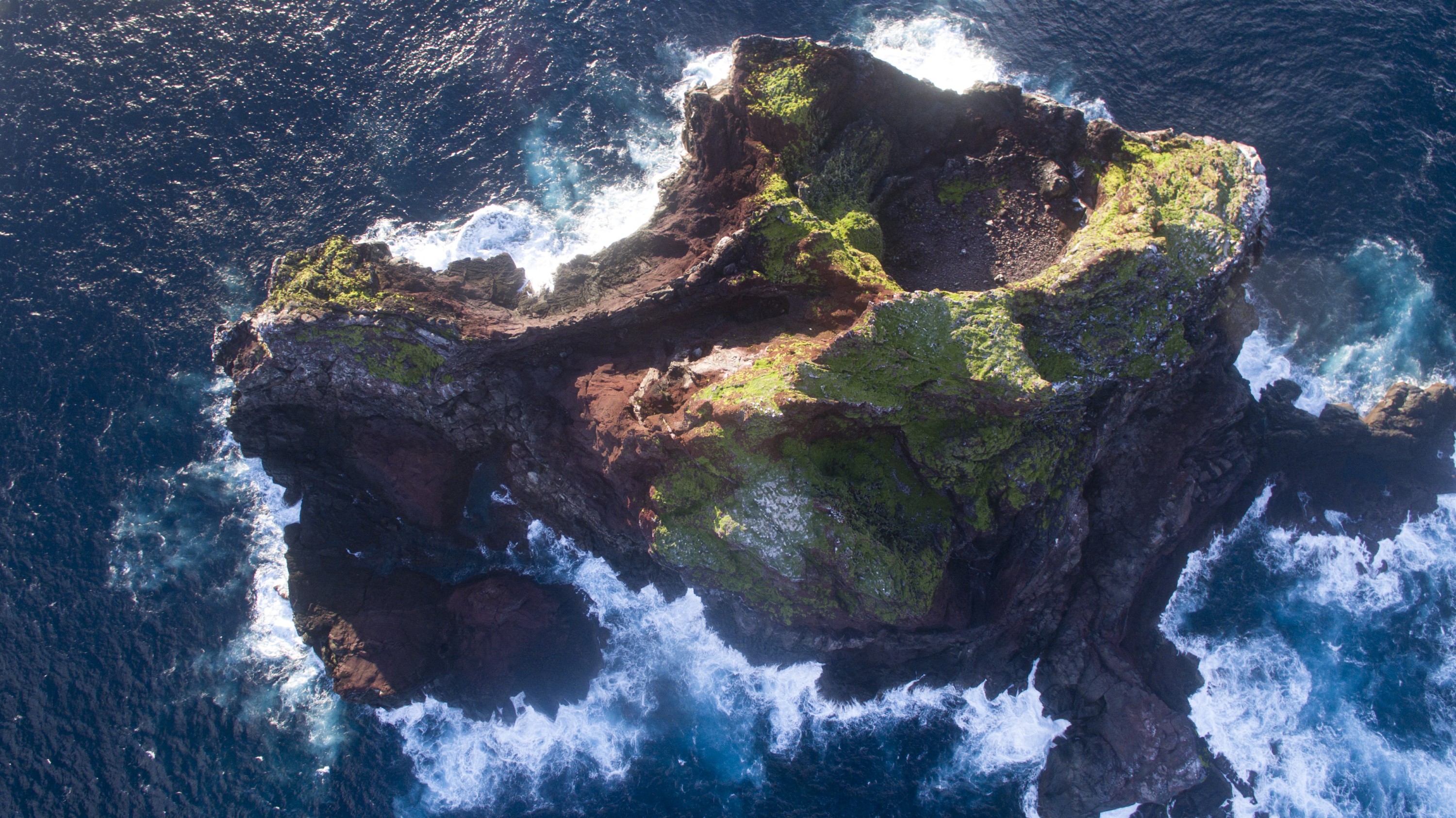 DJI_0029
