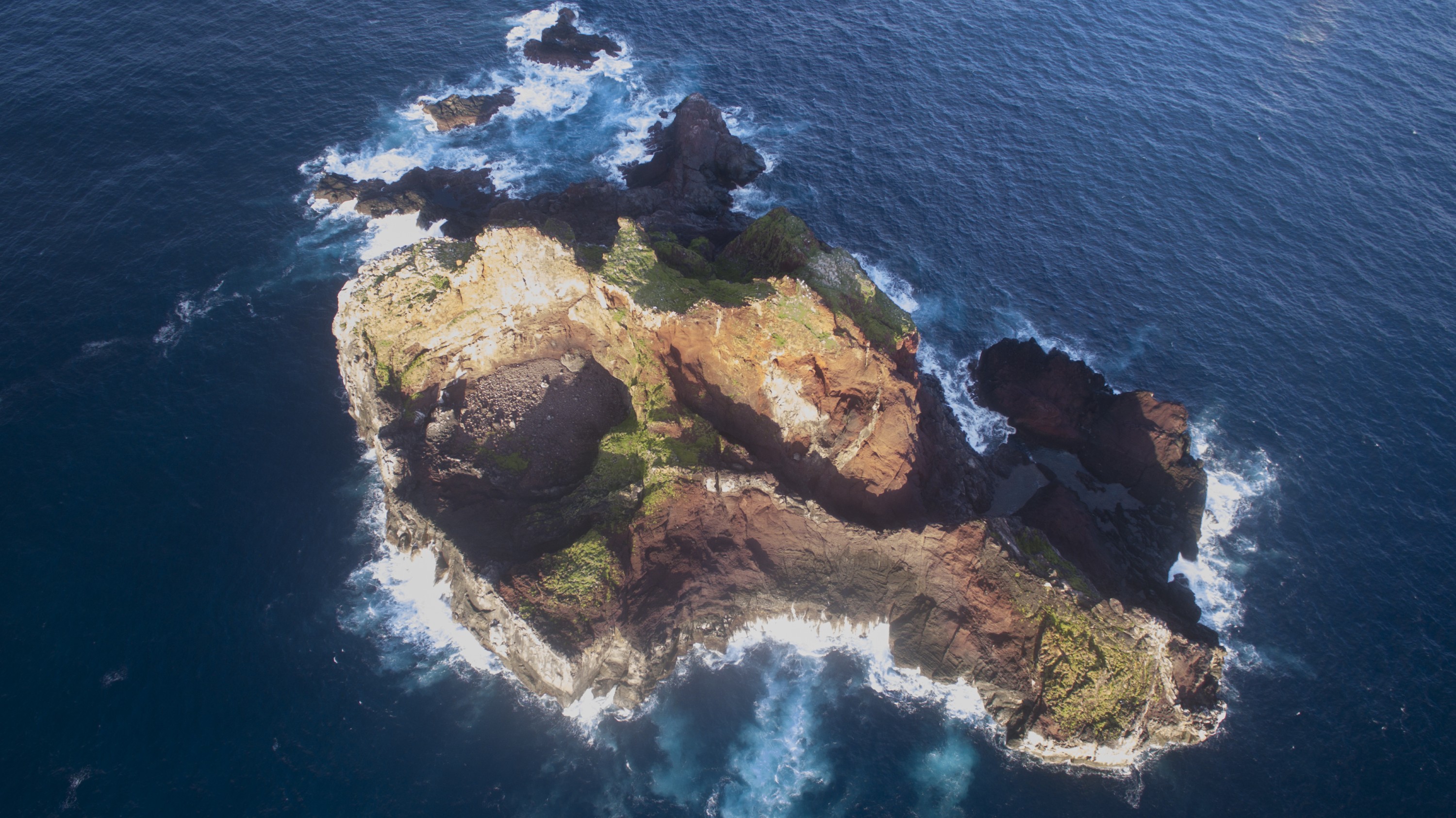 DJI_0056 – L'Esperance Rock, Kermadec Islands