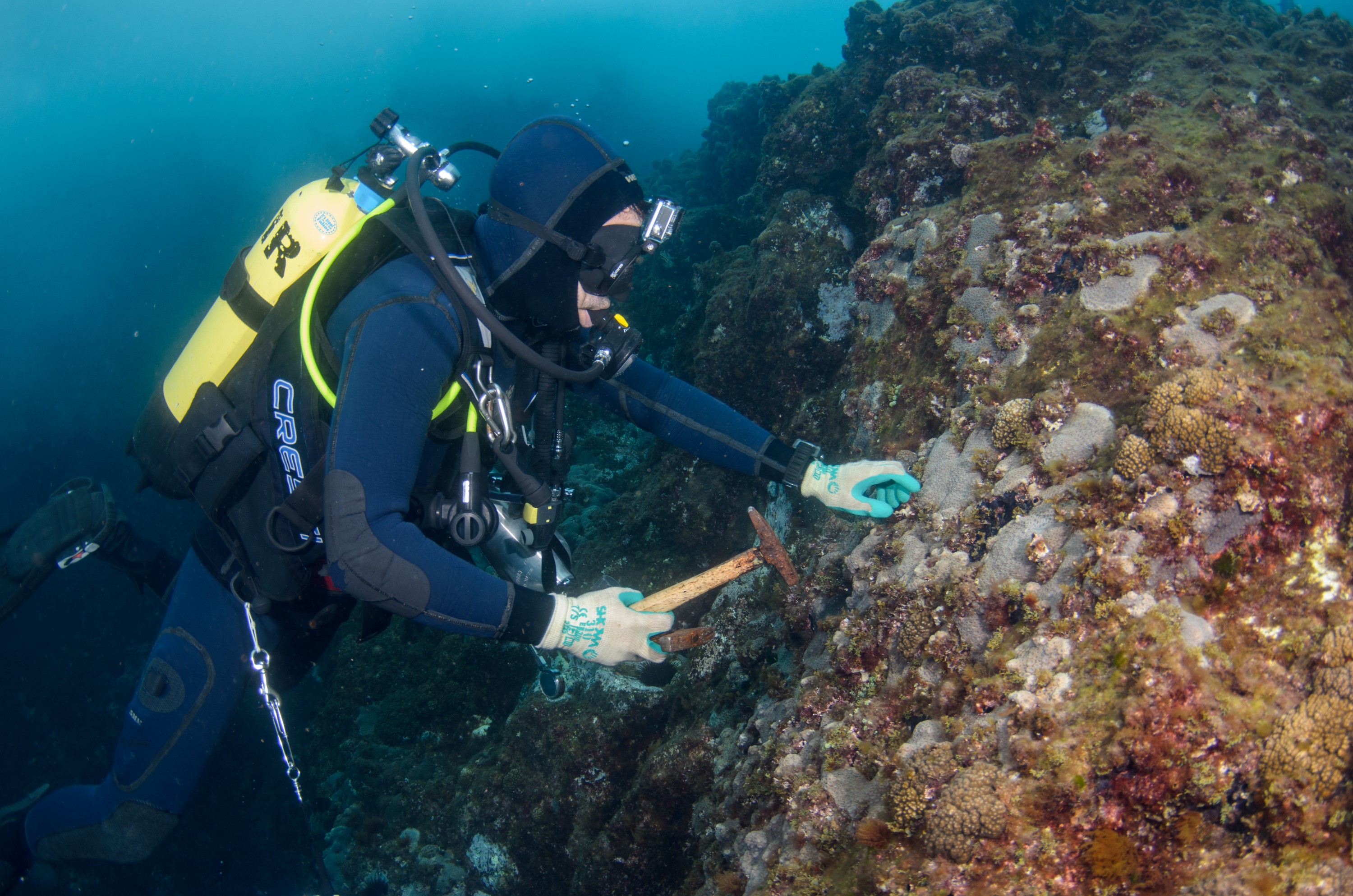 DSC_0848 – 2016, Kermadec, NIWA, New, October 16, RV, Zealand, crispin, expedition, kermadecs, marine, nz, ocean, reserve, sanctuary, seacology, seacologynz, tangaroa