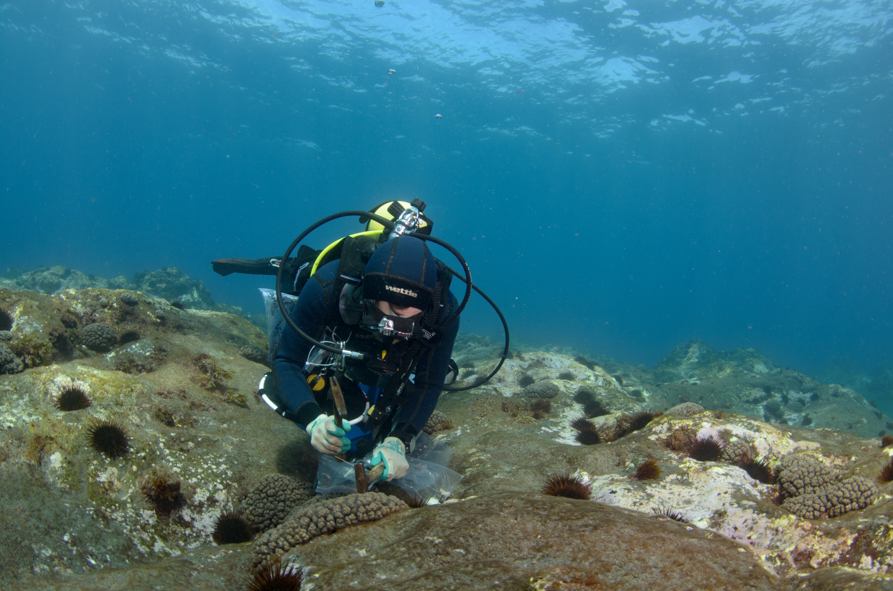 DSC_1138 – 2016, Kermadec, NIWA, New, October 16, RV, Zealand, crispin, expedition, kermadecs, marine, nz, ocean, reserve, sanctuary, seacology, seacologynz, tangaroa