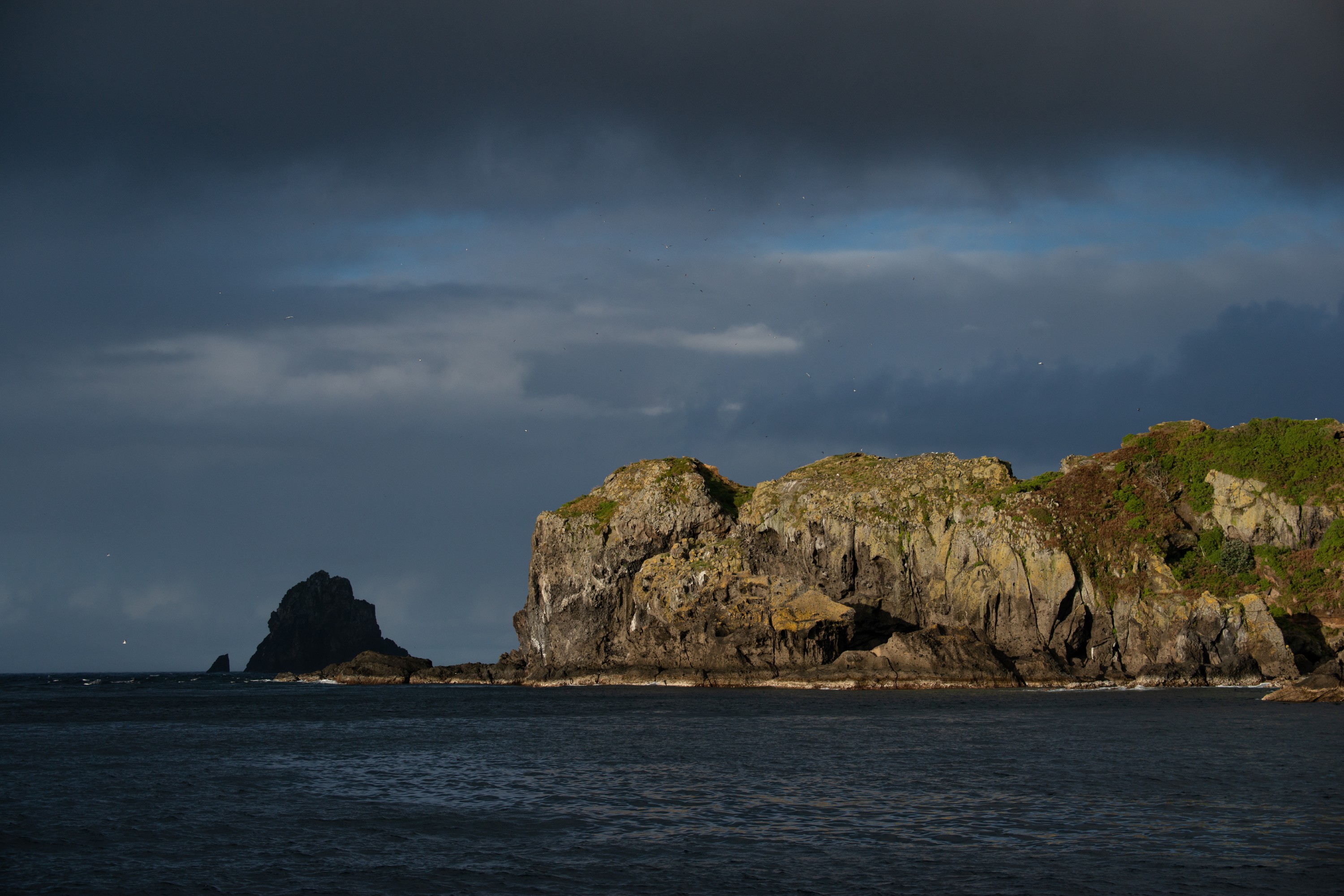 DSC_7377 – Kermadecs, Rangitahua, Raoul, kermadec, meyer islets
