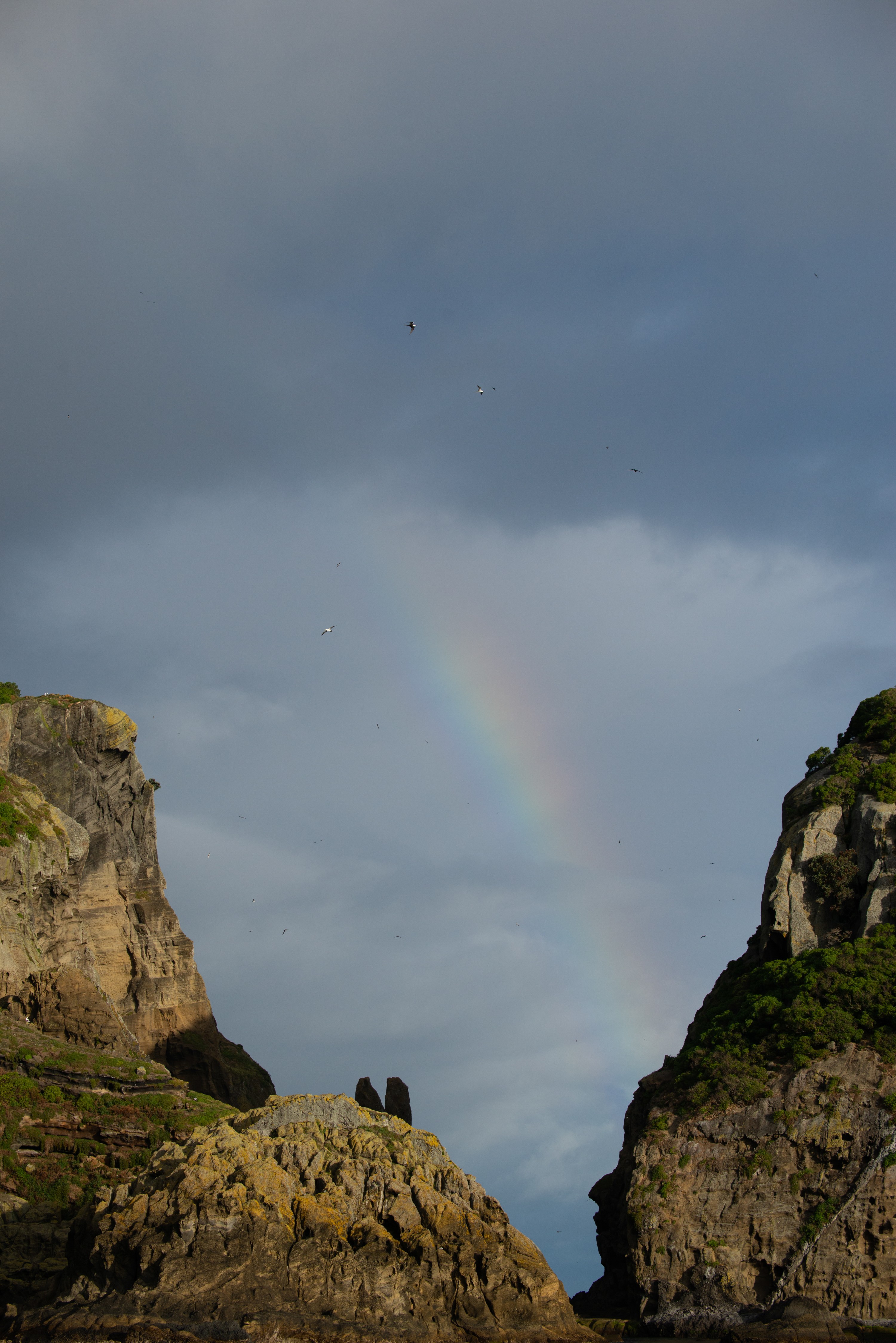 DSC_7379 – Kermadecs, Rangitahua, Raoul, kermadec, meyer islets, rainbow