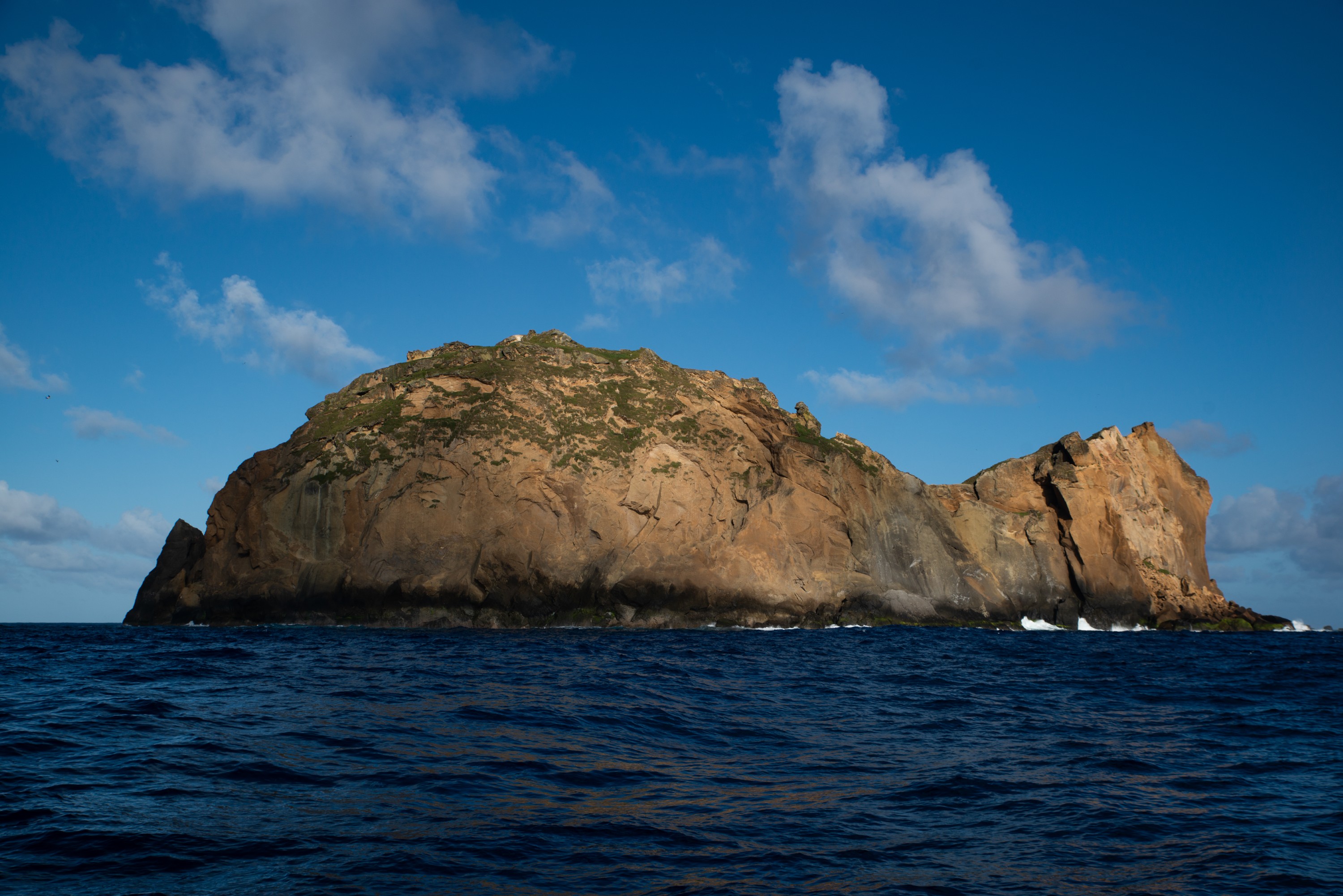DSC_7820 – Kermadecs, McAuley Island, Rangitahua, Raoul, kermadec
