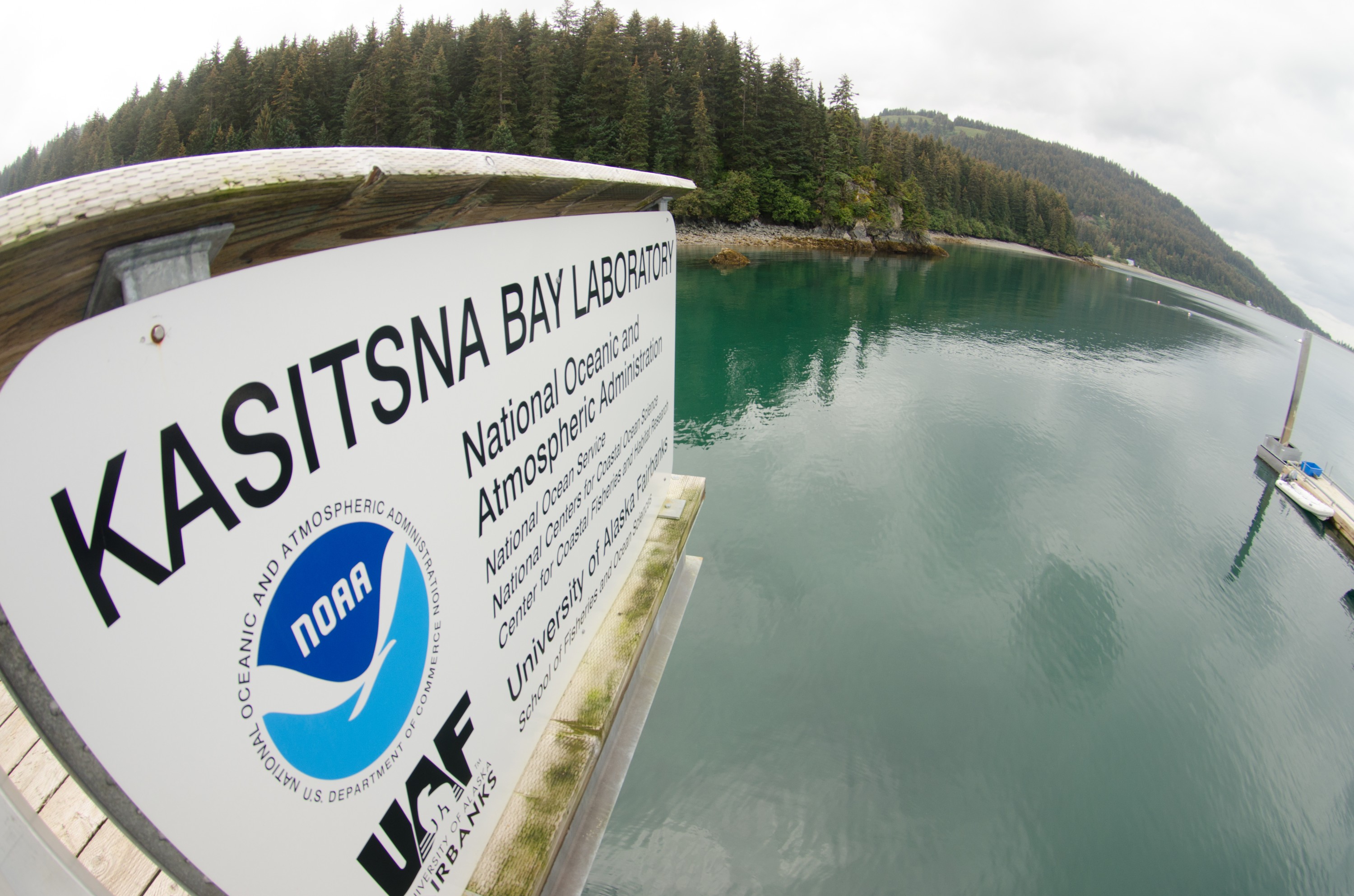 DSC_5999 – Alaska, noaa, kasitsna, bay, laboratory, aaus, crispin, cold, Underwater, image, photography, marine, life, alaska, important research!