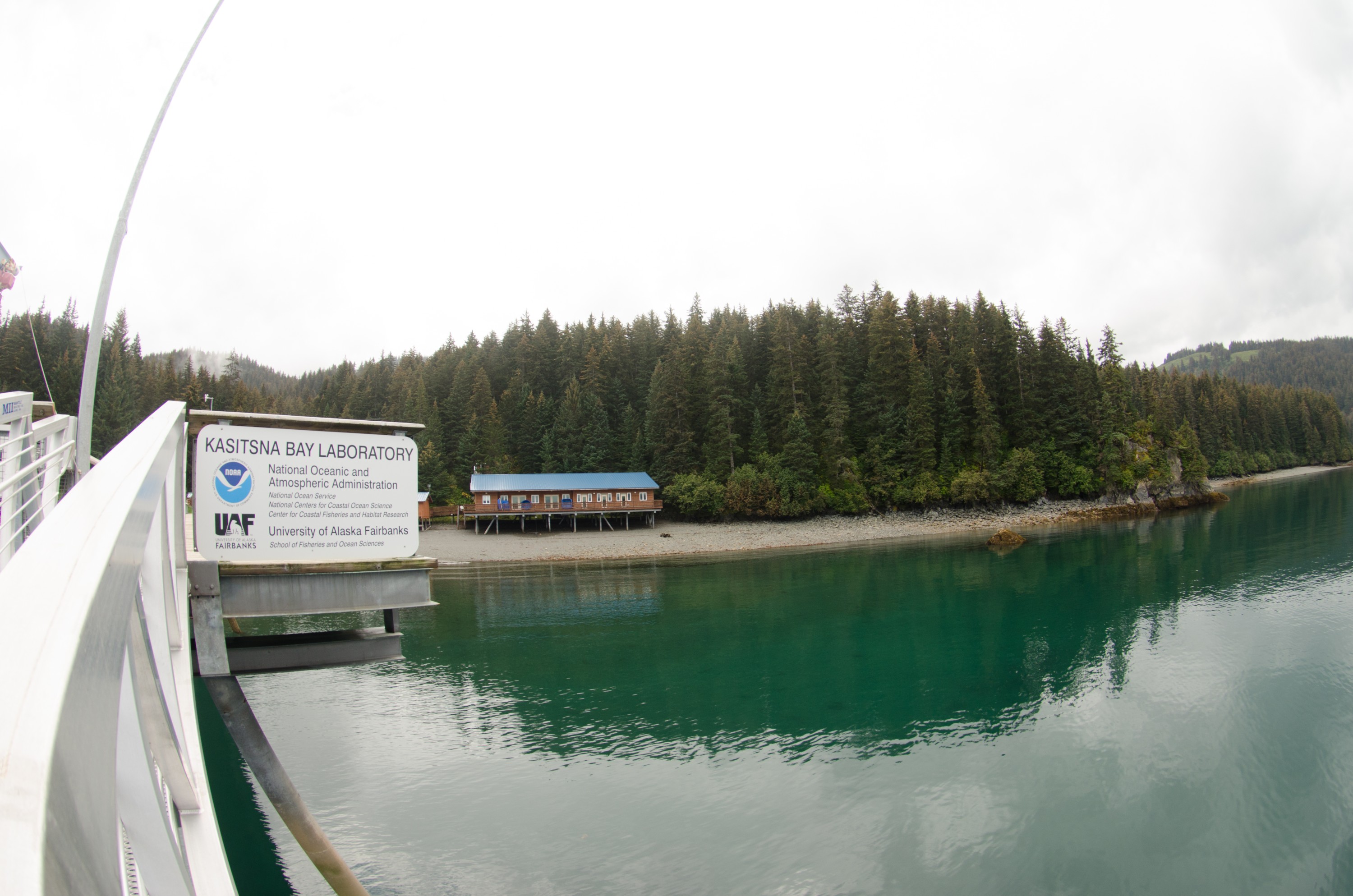 DSC_6001 – Alaska, noaa, kasitsna, bay, laboratory, aaus, crispin, cold, Underwater, image, photography, marine, life, alaska, important research!