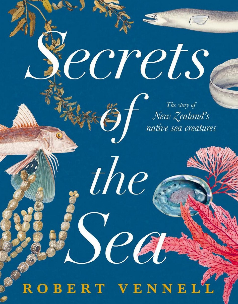 Publication 3