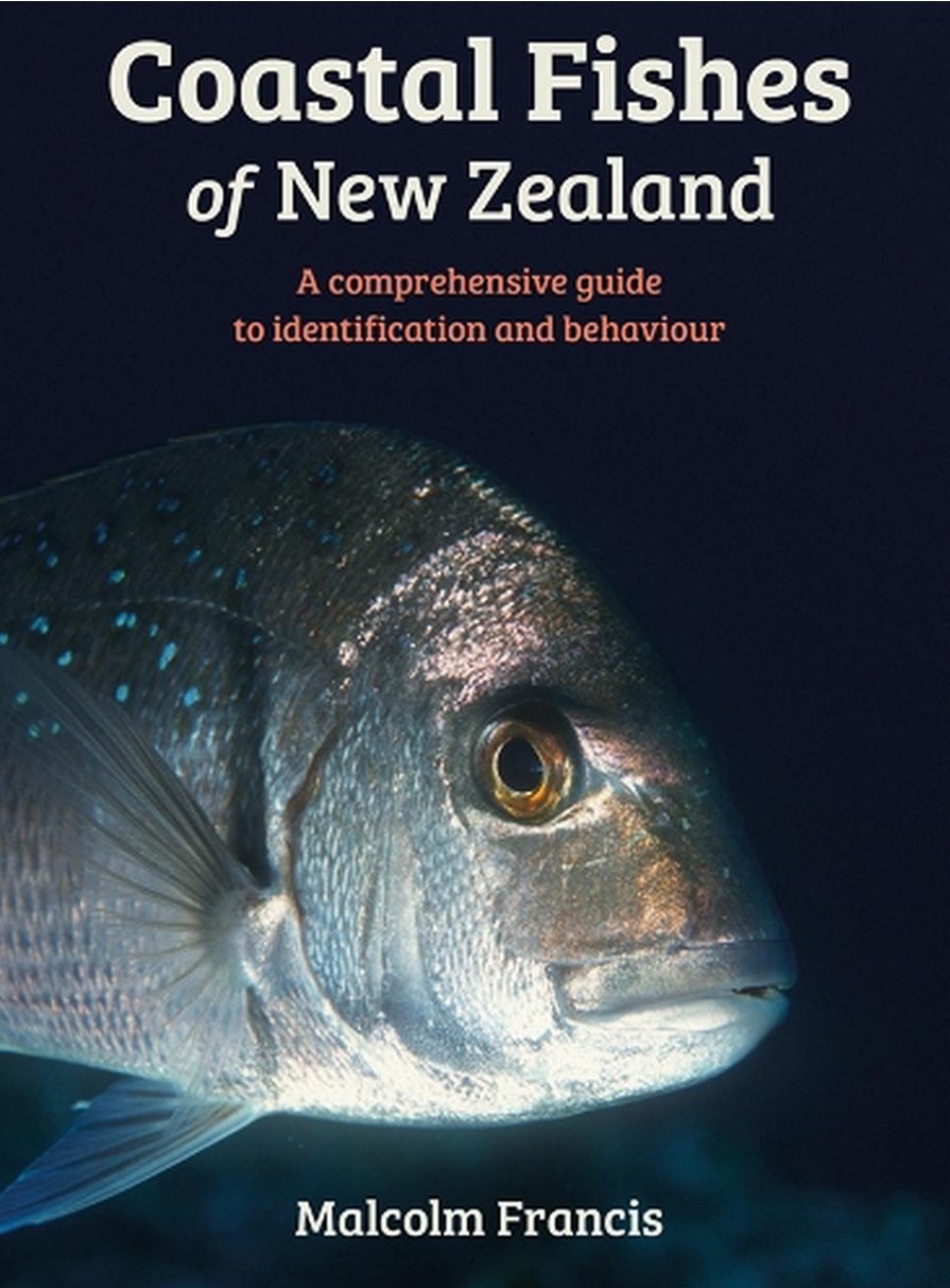 Publication 4