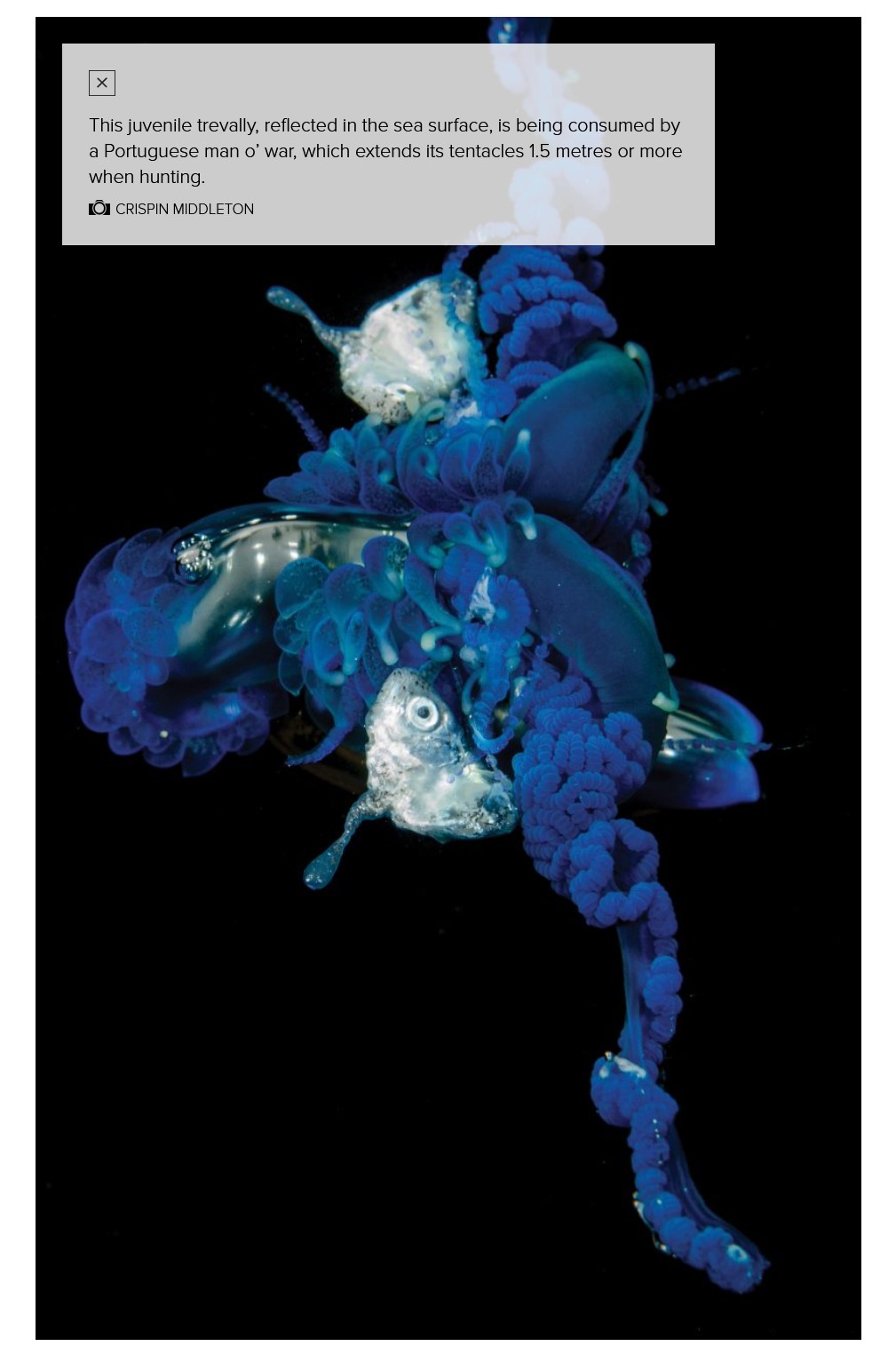Publication 5