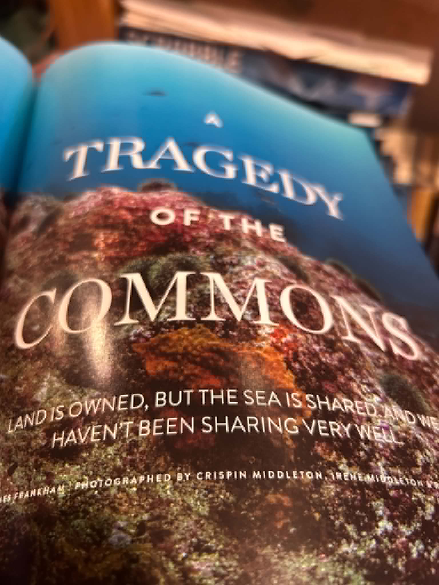 Publication 6