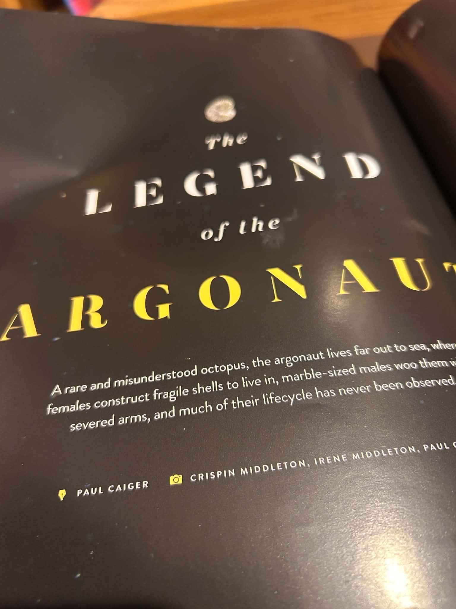 Publication 7